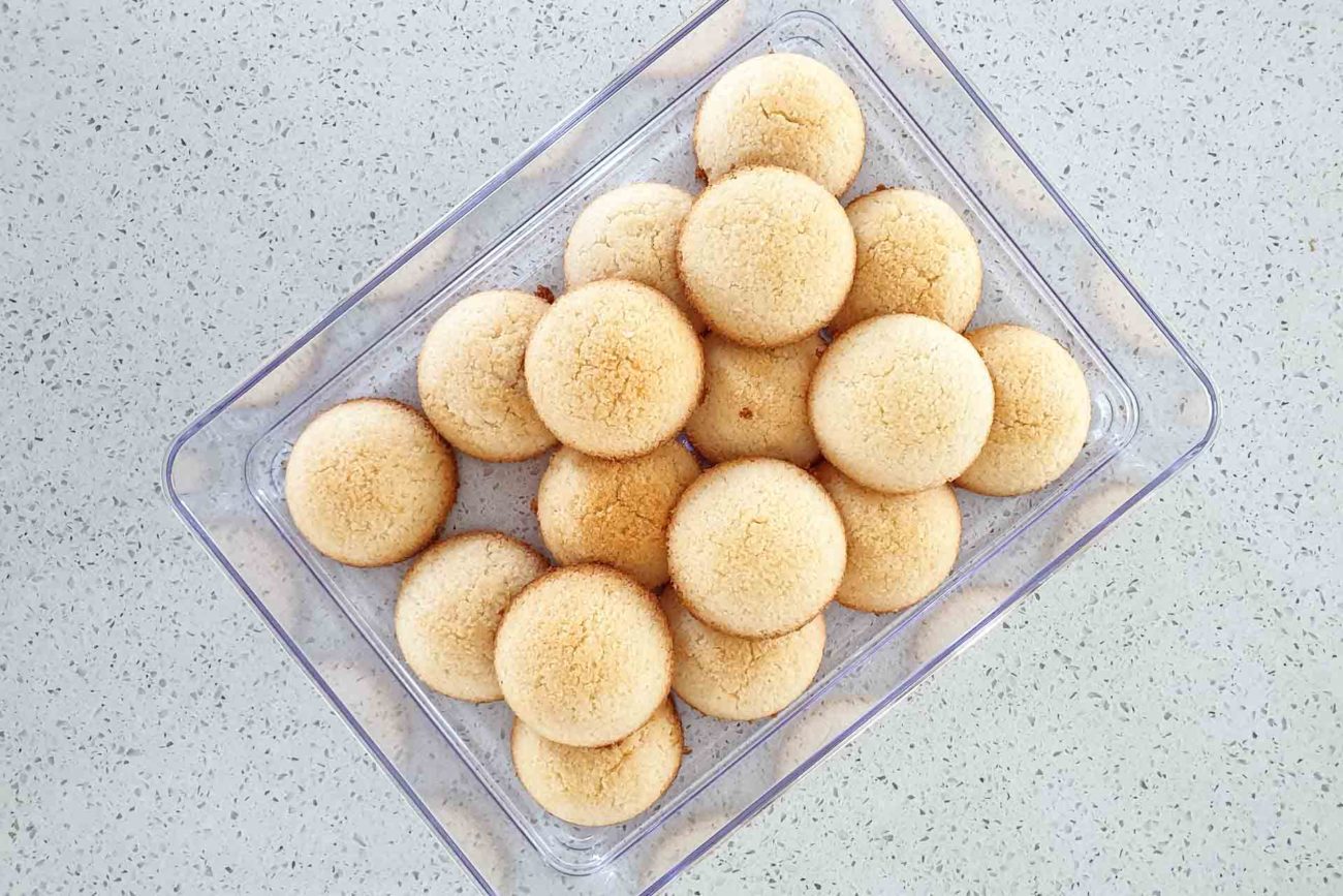 Coconut Cookies (Gluten-free, Dairy-free, Egg-free)